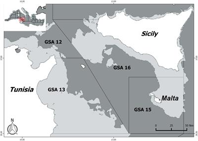 Assessing Cephalopods Fisheries in the Strait of Sicily by Using Poor Data Modeling